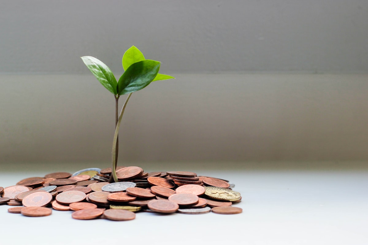 Personal banking client enjoying everyday spending